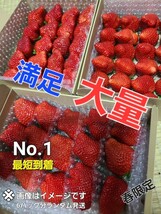 一番特大量～☆プレミアム　ベリ～農園直送★最速お届け《約3～4L玉》絶対新鮮!まとめ買いお得！一番売れてます☆_画像1