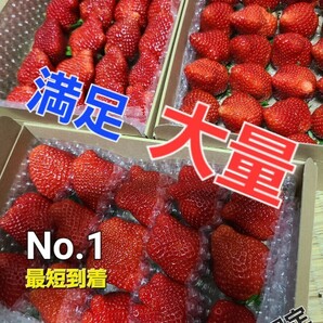 一番特大量～☆プレミアム ベリ～農園直送★最速お届け《約3～4L玉》絶対新鮮!まとめ買いお得！一番売れてます☆の画像1