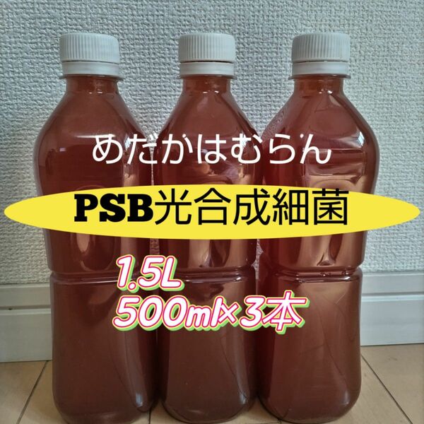 PSB光合成細菌（自家培養）1500ml（500ml×3本）