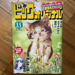 ビッグコミックオリジナル ２０２４年３月５日号 （小学館）表紙から数ページイタミ有　管理番号A1273