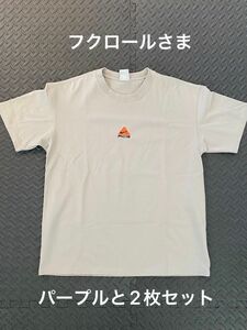 【フクロール様専用】中古美品 nike ナイキ acg エーシージー Tシャツ L ベージュ パープル2枚セット