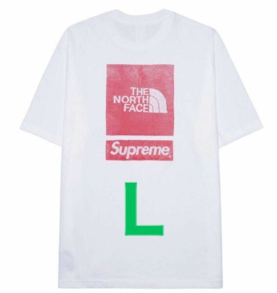 Supreme x The North Face S/S Top