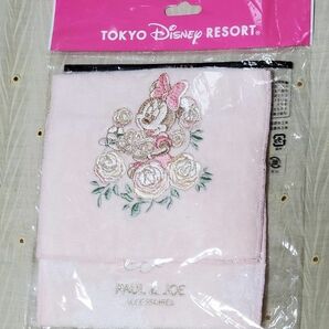 TOKYO Disney resort ミニーちゃん ポケットタオル