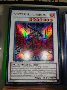 遊戯王 希少品 ドイツ語版 SCHWARZER ROSENDRACHE ブラック・ローズ・ドラゴン ウルトラレア