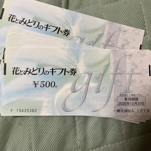 花とみどりのギフト券 2025年12月迄 500円10枚　5千円分①