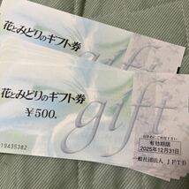 花とみどりのギフト券 2025年12月迄 500円10枚　5千円分①_画像2