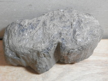 珪化木 重量1.59kg 黒系(検索 木化石埋もれ木石炭亜炭_画像3