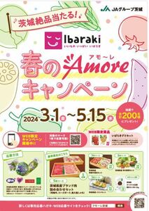 懸賞 JAグループ茨城 いいもの いっぱい いばらき 春のAmore 惚れ2 プレゼント キャンペーン 応募用マーク 3枚 個数4