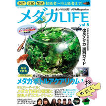 メダカLIFE vol.5 (2024年3月11日発売)【予約販売】_画像1