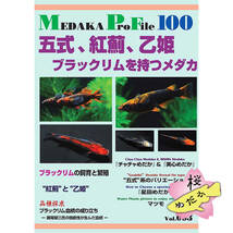 五式、紅薊、乙姫　ブラックリムを持つメダカ Medaka Pro File 別冊Vol.3 (2024年1月発売)_画像1