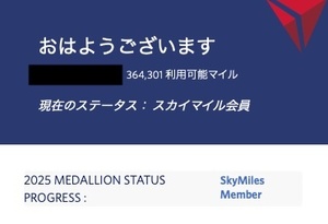 デルタ航空 スカイマイル 口座譲渡 364,301マイル