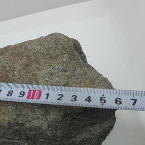 骨董祭 再出品 ① 隕石 マーチソン隕石 オーストラリア産記載有 長期保管品 磁石はほとんど付きませんの画像9