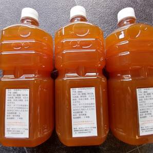 【バクテリア本舗 本店】サムライEX [3L]高濃度水質浄化バクテリア液(らんちゅう,めだか,グッピー,金魚,錦鯉,シュリンプ,熱帯魚,海水魚）の画像3