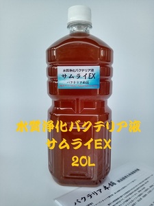 【バクテリア本舗 本店】サムライEX [20L]高濃度水質浄化バクテリア液(らんちゅう,めだか,グッピー,金魚,錦鯉,シュリンプ,熱帯魚,海水魚）