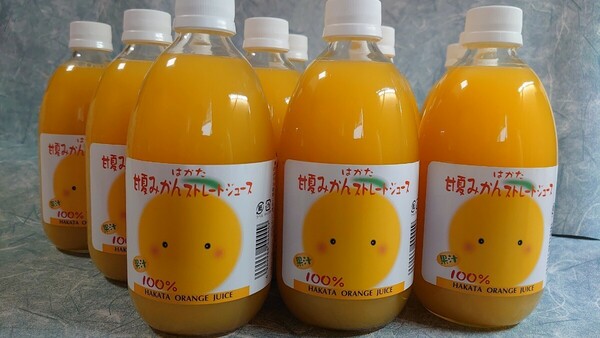 セール特価！愛媛県産果汁１００％甘夏みかんストレートジュース専用500㎜×１２本