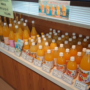 地元道の駅にも出品愛媛県産えひめみかんジュース1000㎜×6本入りストレート果汁の画像3