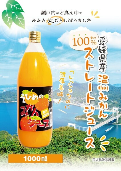 ２ケースセットでお得5％引き地元道の駅にも出品愛媛県産えひめみかんジュース1000㎜×12本入りストレート果汁