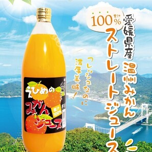 地元道の駅にも出品愛媛県産えひめみかんジュース1000㎜×6本入りストレート果汁の画像1