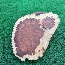  ① 超極上 花梨瘤 花梨紅白 大判板材 最長 37×26×2.5cm 1.5kg木材_画像2