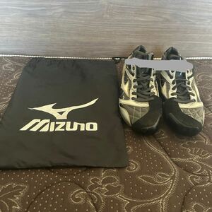 MIZUNO