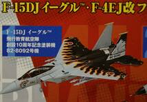 ■絶版1/144特別塗装機 童友社 航空自衛隊F-15DJイーグル 飛行教育航空隊 創設10周年記念塗装機【検】アグレッサー 武士の護 スペマ 将軍_画像1