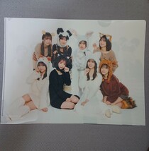 日向坂46 デビュー5周年記念公式BOOK H46MODE vol.1 封入特典 クリアファイル ひなた動物園ver_画像2