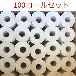 無包装トイレットペーパー100個