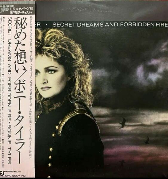 ボニー・タイラー/ 秘めた想い ★プロモーションサンプラー アナログLP帯付 BONNIE TYLER SECRET DREAMS AND FORBIDDEN FIRE