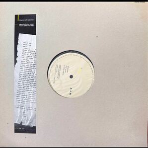 durutti column/say what you mean, mean wnavou say 12inch shingle ★プロモーションサンプラー