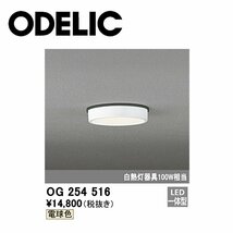 ■オーデリック 軒下用シーリングライト OG254516 電球色 防雨型 【訳あり：付属品の欠品】_画像1