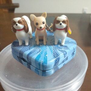 ミニチュアdog (リプトン)3個