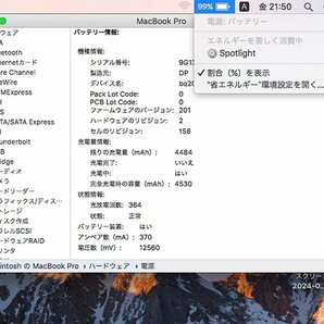 Apple MacBook Pro (13-inch,Mid2010)/Core2Duo P8800 2.66GHz/4GBメモリ/HDD320GB/無線LAN Bluetooth/macOS Sierra 10.12 #0330の画像10