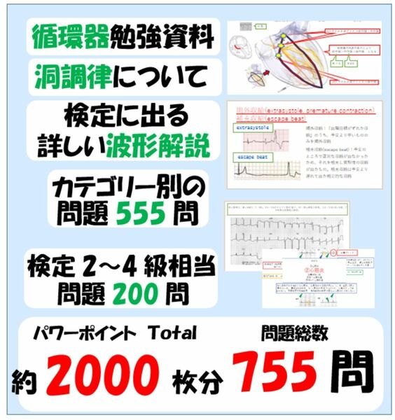 循環器勉強資料＋洞調律勉強資料＋波形解説＋心電図問題計755問