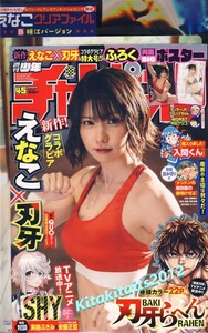 Weekly Shonen Champion 2023 № 45 ■ Enako Special Double -Sided Big Poster 50 см x 31см и Heorcience Store Limited Clear File