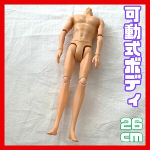 可動式　人形　ボディ　男　ケン　着せ替え　汎用　ハンドメイド　デッサン　衣装　ドール　1/6サイズ