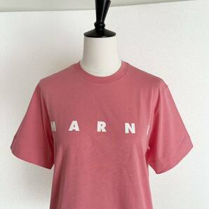 MARNI マルニ ロゴ入り半袖Tシャツ カットソー XSサイズ ピンクの画像3