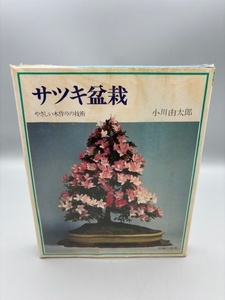 サツキ盆栽―やさしい木作りの技術 小川由太郎 主婦の友社