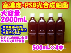 ★大容量２０００ｍＬ（５００ｍＬ×４）★生きたバクテリア、ＰＳＢ光合成細菌（水質浄化栄養細菌）★★★