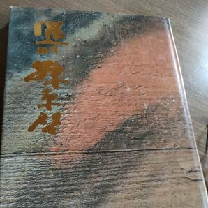 生誕100年記念 備前 藤原 啓 本