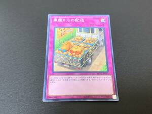 農園からの配送 YCPC-JP003 遊戯王OCG 遊戯王チップス