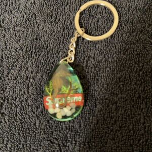 Supreme 16AW Seahorse Keychain キーホルダー 竜の落とし子 タツノオトシゴ シーホース シュプリーム SUPREME