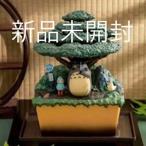 【新品未開封 数量3】スタジオジブリとなりのトトロウォーターガーデンBONSAI 笠宿 盆栽の画像1