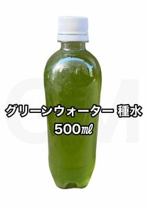 【GMめだか】グリーンウォーター 種水 500ml → メダカ 青水 栄養水 針子 餌 エサ成長 促進 越冬