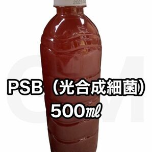 【GMめだか】PSB 光合成細菌 500ml 水質安定改善 バクテリアメダカ 針子　稚魚 生き餌 ミジンコ