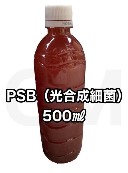 【GMめだか】PSB 光合成細菌 500ml 水質安定改善 バクテリアメダカ 針子 稚魚 生き餌 ミジンコ