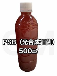 【GMめだか】PSB 光合成細菌 500ml 水質安定改善 バクテリアメダカ 針子　稚魚 生き餌 ミジンコ