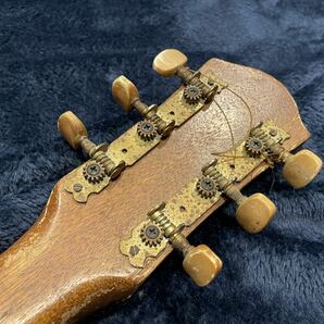 亀 甲羅 アコースティックギターの画像9