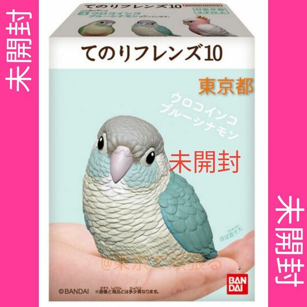 ウロコインコ　ブルーシナモン　てのりフレンズ10　/　手乗り　手乗りフレンズ フィギュア 置物　指人形　フィギュア