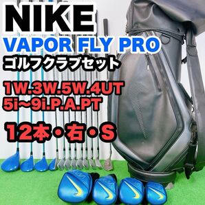 【希少廃盤】オールナイキ　ヴェイパーフライ　ゴルフクラブセット バッグ3点式　VAPOR FLY PRO S24031701