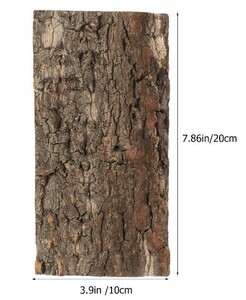 コルク樹皮　20㎝×10㎝　爬虫類　アクアリウム　ペット　コウモリ蘭　などに